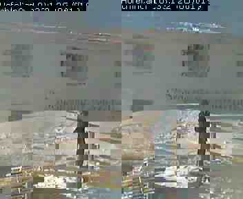 190106_3.jpg (7288 Byte)